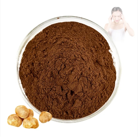 Vente en gros d'extrait naturel de crini&egrave;re de lion, poudre de champignon crini&egrave;re de lion, champignons, poudre de crini&egrave;re de lion
