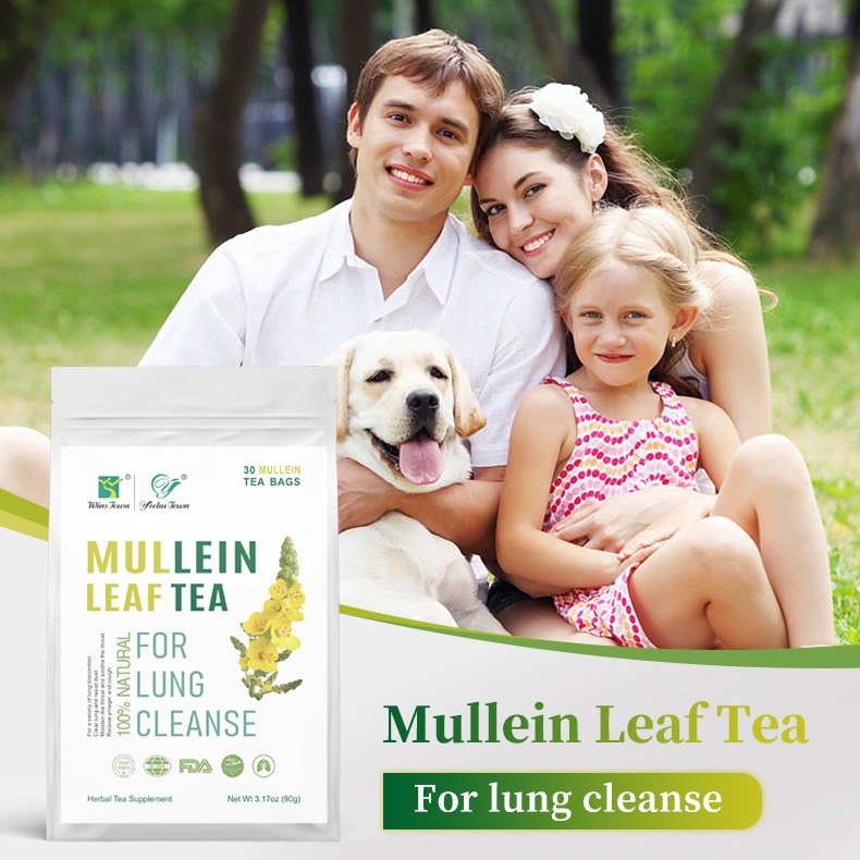 Sachets de tisane de feuilles de mol&egrave;ne, 30&nbsp;comprim&eacute;s pour le soutien du bien-&ecirc;tre respiratoire