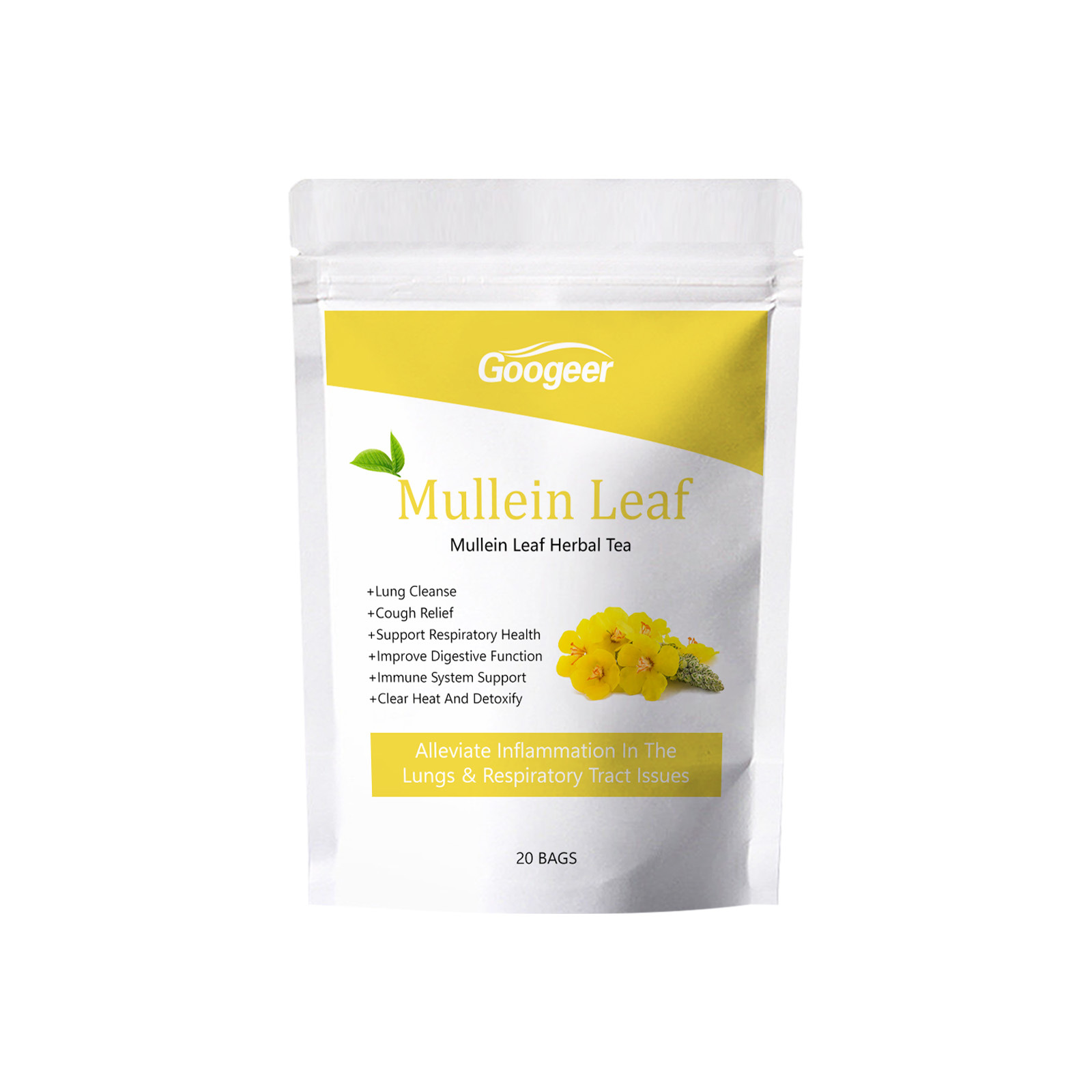 Tisane de feuilles de mol&egrave;ne Compl&eacute;ment alimentaire Usage universel Emballage de base